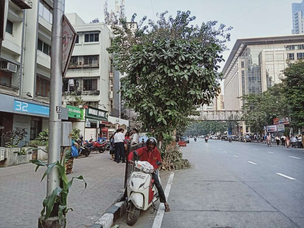 Female PG room in Prabhadevi, Mumbai – photo 4